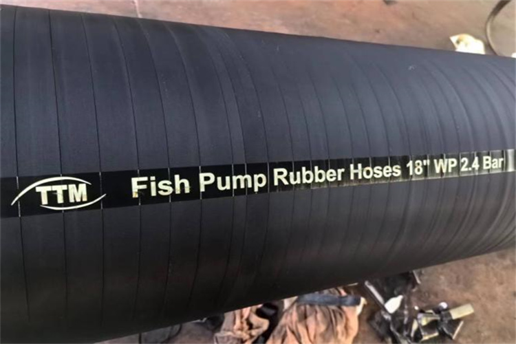 Fish pum rubber hose export to Chile